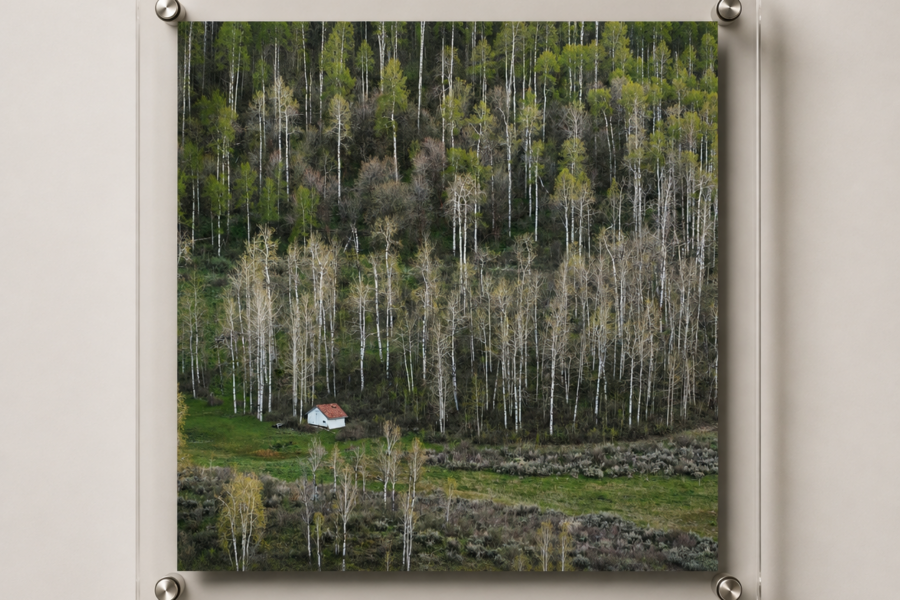 Mountain Refuge