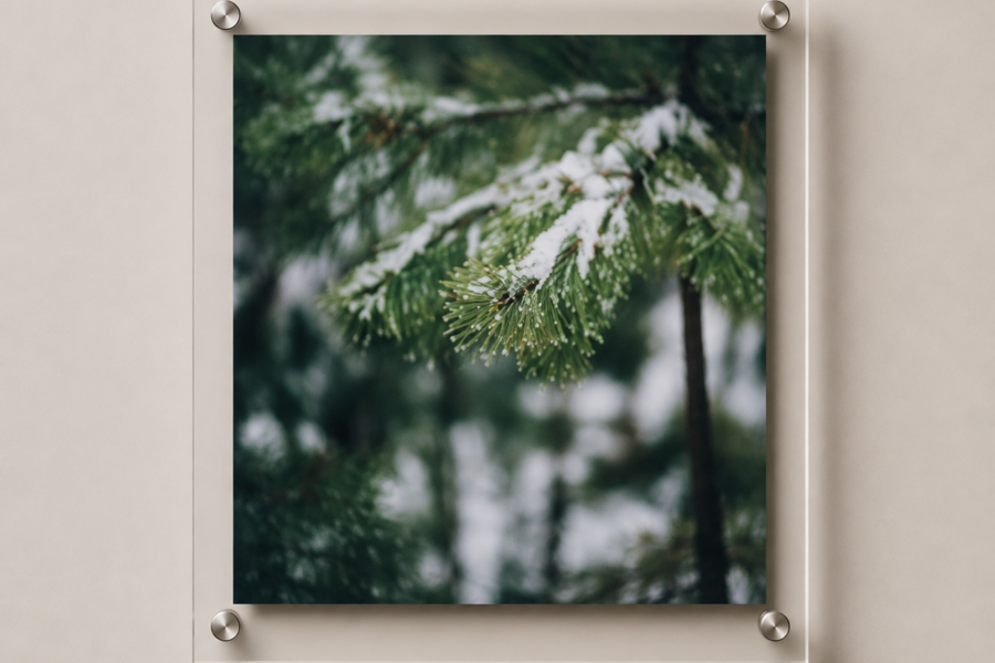 Winter’s Whisper