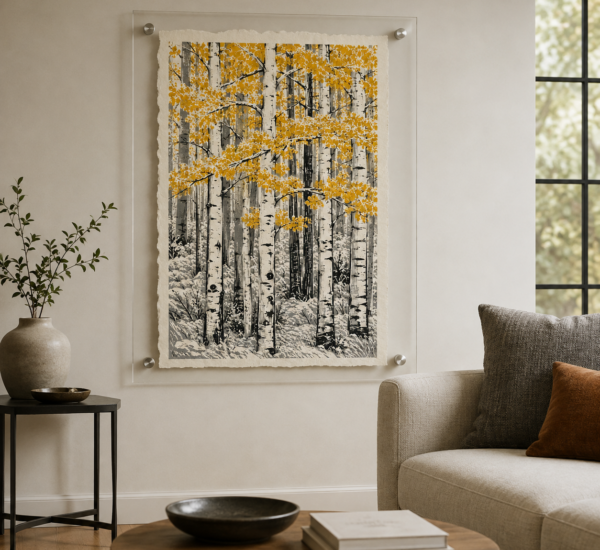 Aspen Groves